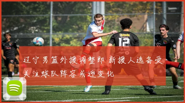 辽宁男篮外援调整即 新援人选备受关注球队阵容或迎变化